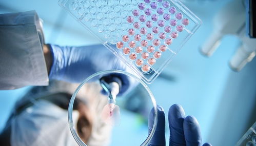 天境生物剝離國(guó)內(nèi)資產(chǎn)背后 研發(fā)接連受挫,市值縮水超九成五