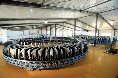 和林格爾縣 黨建引領 多元驅(qū)動 打好產(chǎn)業(yè)發(fā)展 組合拳